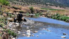 Saisie de pompes servant à irriguer des cultures avec des eaux polluées à Batna