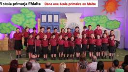 Le maltais, le parler algérien, une langue officielle transcrite en caractères latins (IV)