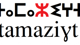 Le maltais, le parler algérien, une langue officielle transcrite en caractères latins (I)