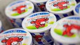 Saisie de 279,12 kg de fromage moisi de la marque "La Vache qui rit"