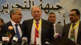 Amar Saâdani, Djamel Ould Abbès : à chacun sa sale besogne