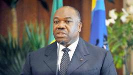 Les législatives de décembre reporté au 29 juillet 2017 au Gabon