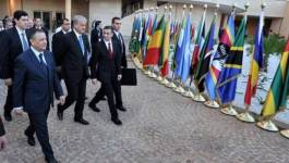 Forum : la dernière charlatanerie d'Alger !