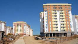 65 promoteurs immobiliers et 558 agences immobilières sanctionnés
