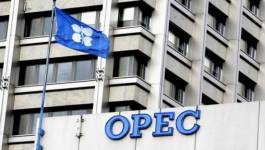 Réunion de Vienne : 11 pays non-Opep disposés à baisser leur production pétrolière