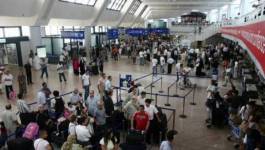 Coup de filet à l’aéroport d’Alger : nos bagages, ce trésor des bagagistes !
