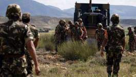 Deux terroristes abattus par un détachement de l'ANP à Skikda