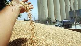 Le coût d'importation des céréales est de 2,54 milliards de dollars