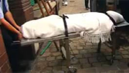 Un cheikh pratiquant la roqia assassiné à Sougueur (Tiaret)