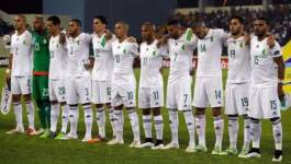 L'équipe d'Algérie dégringole de 11 places dans son classement FIFA