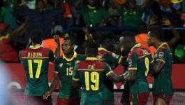 Les Lions indomptables champions d'Afrique