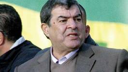 Moh Cherif Hannachi récidive: Broos a gagné la coupe d'Afrique par chance !