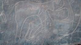 Sauver les gravures rupestres de Tiout (Ain Sefra)