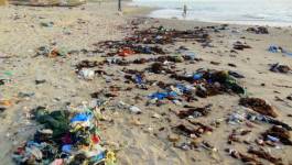 1.400 points noirs de rejet de déchets et des eaux usées sur le littoral algérien
