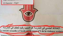 Le "Dr" Smaïl Boulbina met en cause à la B.N. la mixité dans la violence à l’école (vidéo)