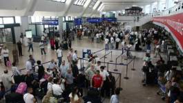Arrestation d'un homme à l'aéroport d'Alger avec 50 000 euros non déclarés