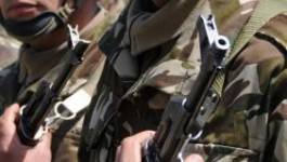 Deux terroristes abattus et deux autres capturés par l'ANP à Dellys