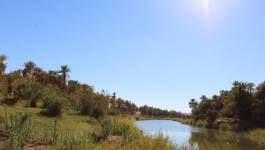 Sur la route des ksours : balade féerique de Tlemcen à Taghit