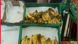 Tebboune crée le désordre: la banane à 900 DA et l’ail à 1600 DA le kilo !