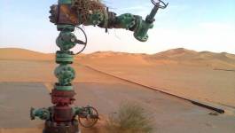 Faute d'investissements, l'Algérie court vers la fin de sa production pétrolière, selon GRI !