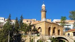 Une ville, une histoire : Tiaret