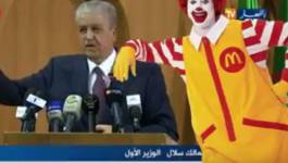 Exportation de la tomate cerise d’El Oued : de quel McDonald’s parle Sellal ? (Vidéo)