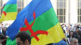 Tamazight : entre constitutionnalité, banalisation et truanderie politique
