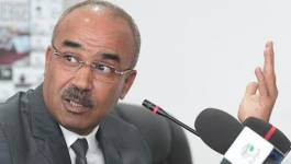 Le taux de participation passe à 33,53% à 17h, selon Noureddine Bedoui
