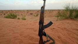 Al Qaida rend publique une vidéo de ses six otages au Sahel