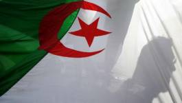 Pas de main invisible en république bananière d’Algérie