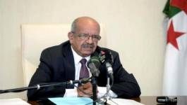 Messahel, la diplomatie algérienne et la stratégie de la France au Sahel (fin)