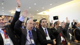 Le Forum des chefs d’entreprises (FCE) : combien de divisions ?