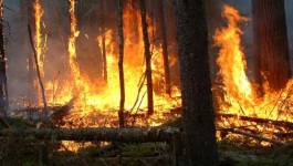 Le pays est en feu : que fait le gouvernement ?
