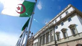 Assemblée nationale : l’Algérie au Guinness des records !