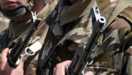 Deux terroristes abattus par l'ANP dans les maquis de Jijel