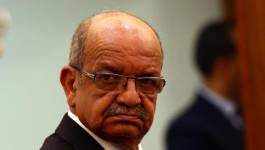 Propos criminels de Messahel : le clan Bouteflika veut-il la guerre ?