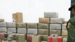 Plus de 38 tonnes de résine de cannabis saisies en huit mois en Algérie