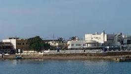 Une centaine de chômeurs ferme l'usine Awa à Mers El Hadjadj