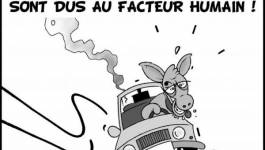 Le coup de griffe de notre dessinateur