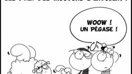 Le coup de griffe de notre dessinateur