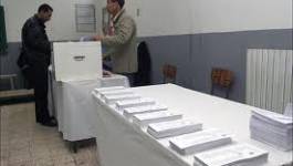 Elections : la mission européenne se contentera d'"observer"