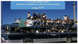 L’armée et la politique Par Mohamed Abassa