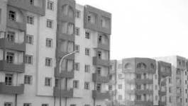 Affrontements entre les forces de l’ordre et les citoyens du Derb (Oran)