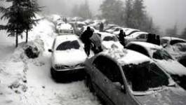 Neige en Algérie : 16 personnes décédées et gel de l'activité politique