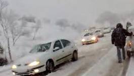 Tempête de neige sur l'Algérie : l’incurie des autorités