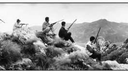 Bouira : un appel à la restitution des fusils de chasse est lancé