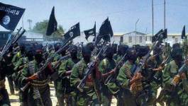 Sud de la Somalie : affrontements entre Shebabs et l'armée kényane
