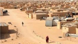 Les trois humanitaires enlevés près de Tindouf sont en vie