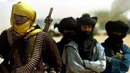 Mali :  le président Touré reçoit un groupe armé touareg revenu de Libye