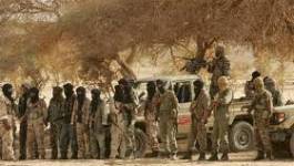 Soutien aux Imazighens de l’Azawad